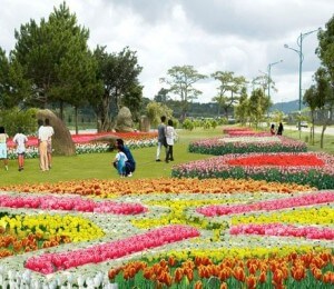 festivals des vleurs à Da Lat Vietnam