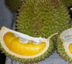 Durian