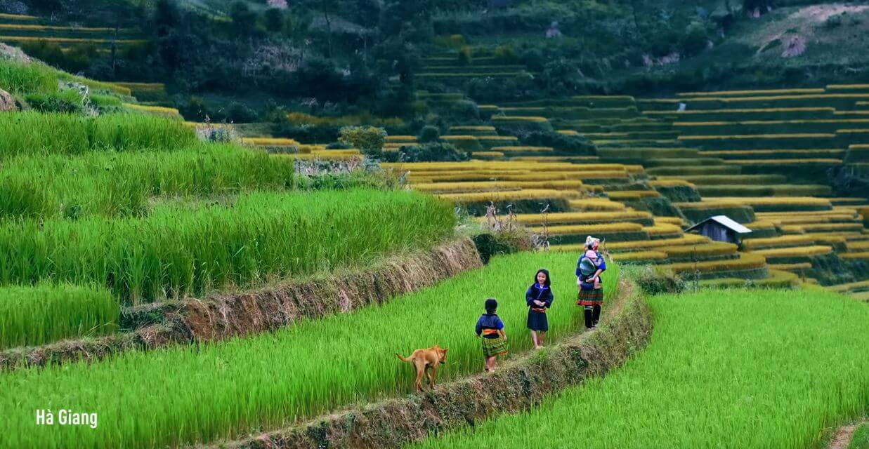 Janvier au Vietnam