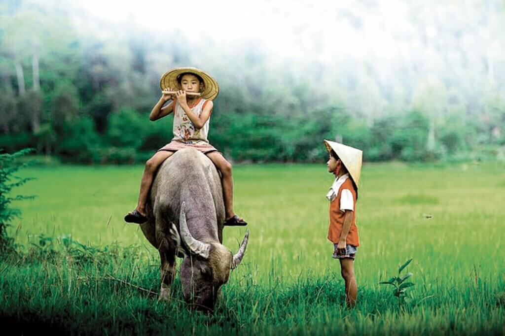 Vie au Vietnam