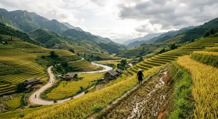 Vietnam en novembre : météo par région, meilleures destinations et conseils pour bien voyager